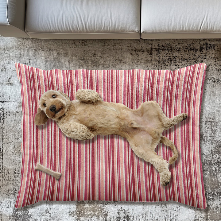 Designer Pet Bed - Sketchy Stripes