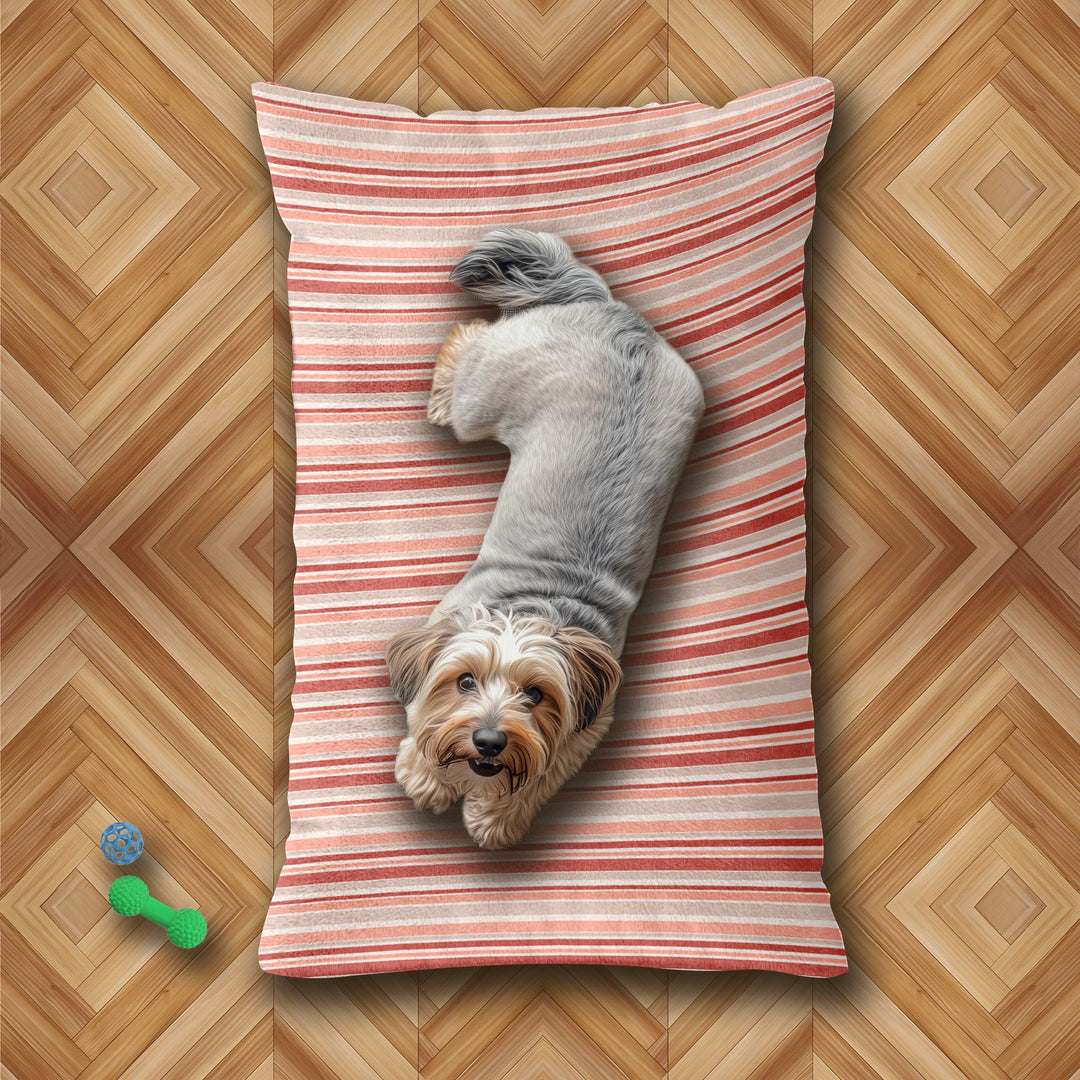 Designer Pet Bed - Sketchy Stripes