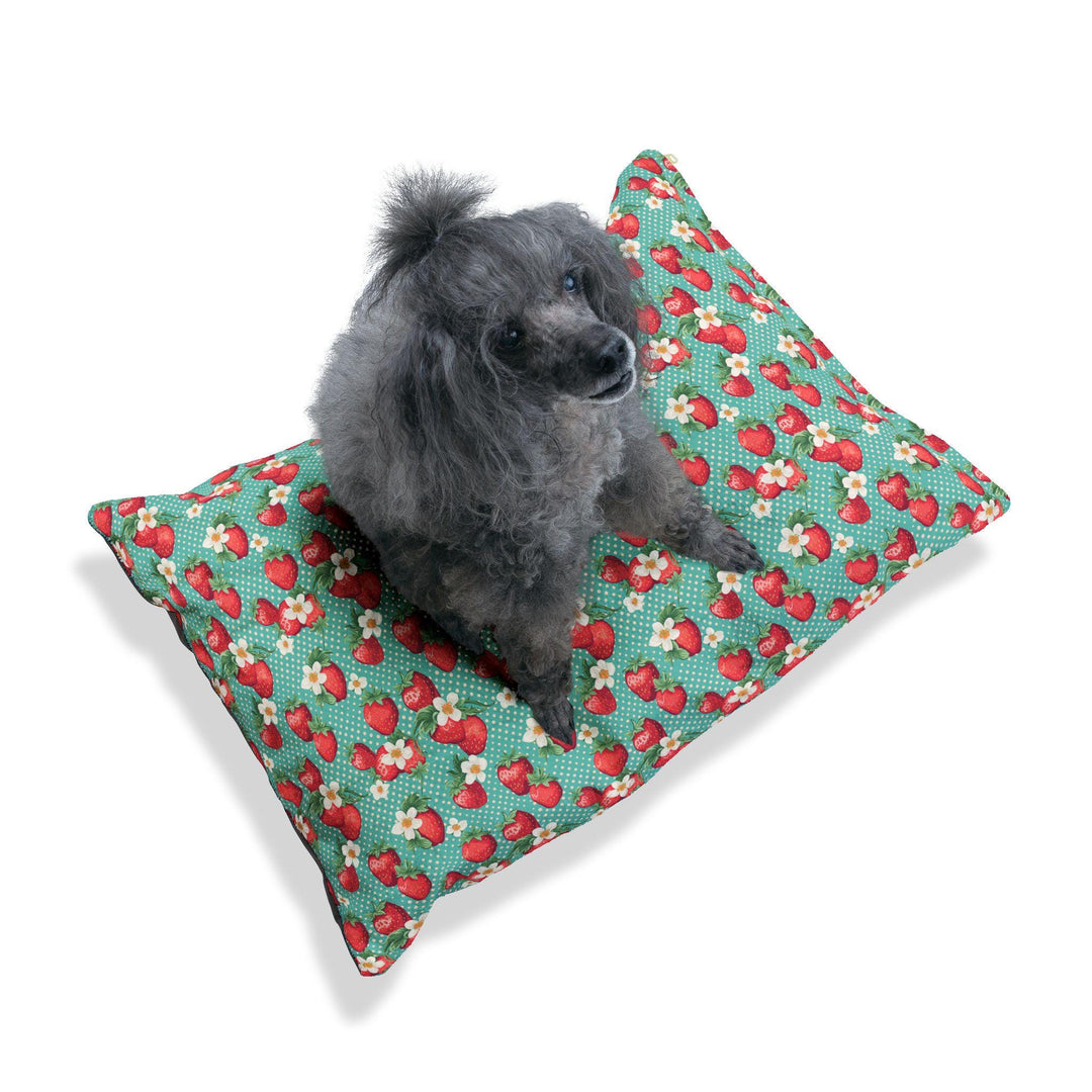 Designer Pet Bed - Vintage Dots | Strawberry on Aqua Green