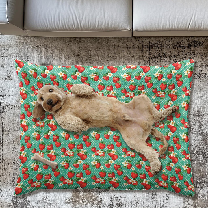 Designer Pet Bed - Vintage Dots | Strawberry on Aqua Green